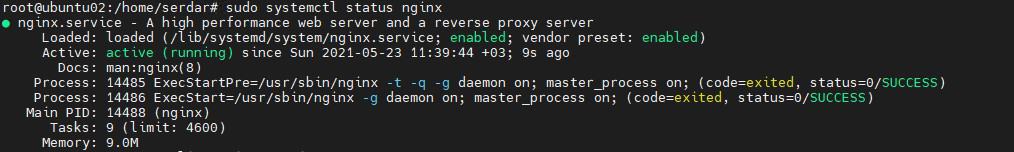 Ubuntu 20.10 üzerine Xwiki Kurulumu 12