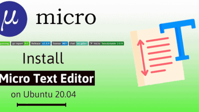 Micro Text Editör kurulumu ve kullanımı 6
