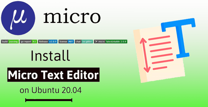 Micro Text Editör kurulumu ve kullanımı 1