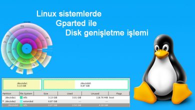 Linux sistemlerde gparted ile disk genişletme 124