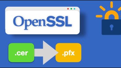 Open SSL Pfx to Crt 1