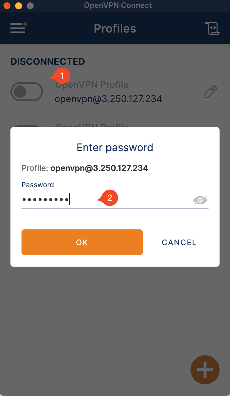 AWS üzerine OpenVpn Kurulumu 30
